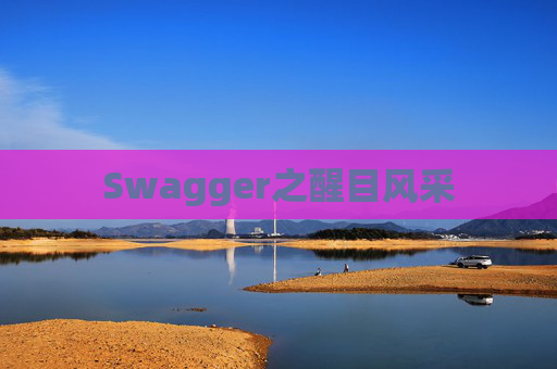 Swagger之醒目风采